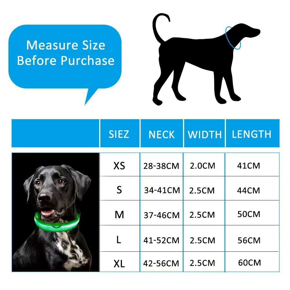 Nylon Reflective LED Dog Collar Light up Pet Collar Dog Lights Night Walking Camping Supplies