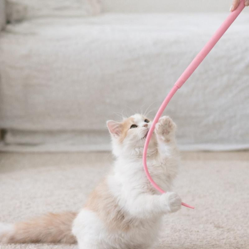 Pinepaw Interactive Mouse Tail Cat Toy Set with 2 Replaceable Teaser Heads Mimics Mouse Tail Design for Engaging Playtime & Versatile Fun