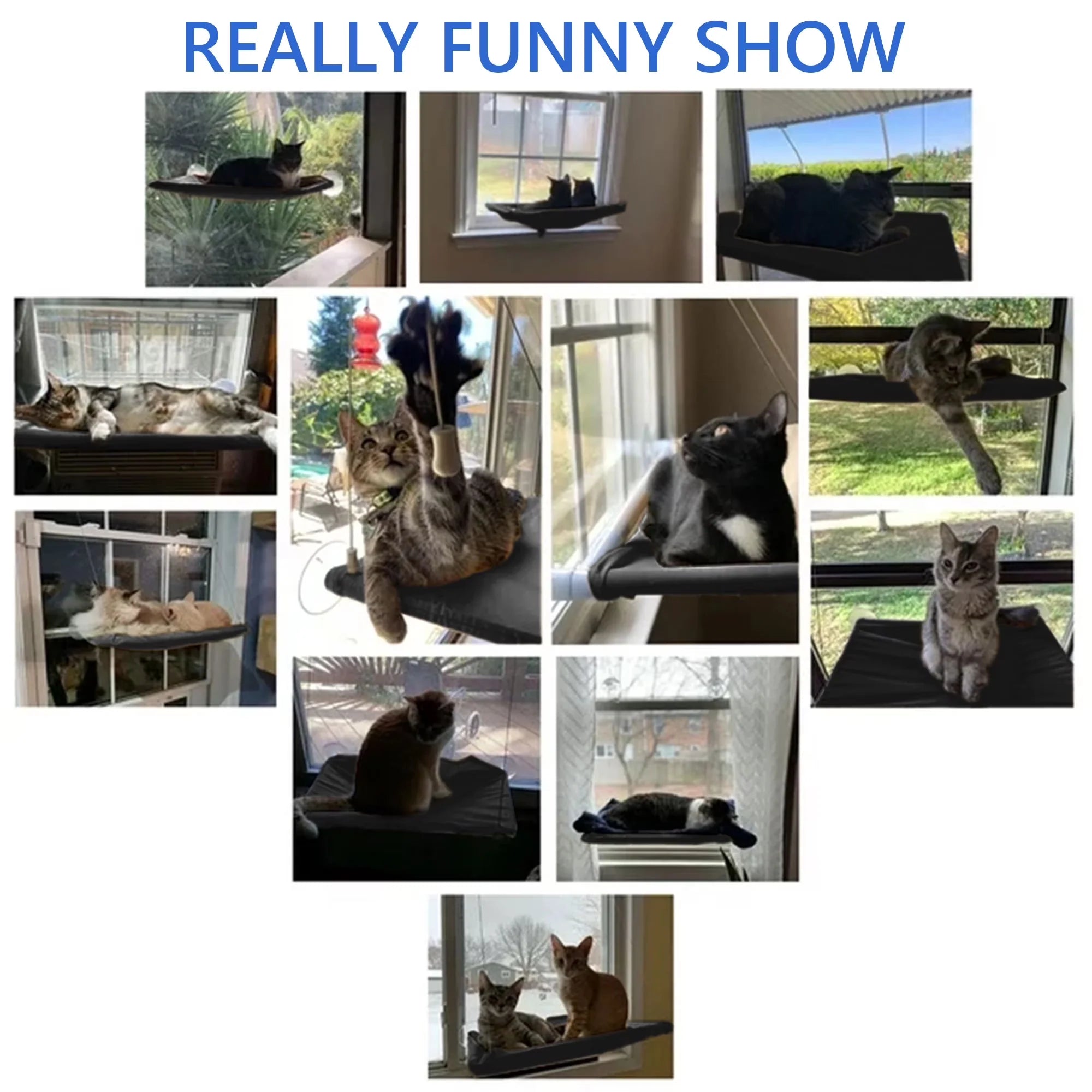 Cat Window Perch — Suction Cup Hammock