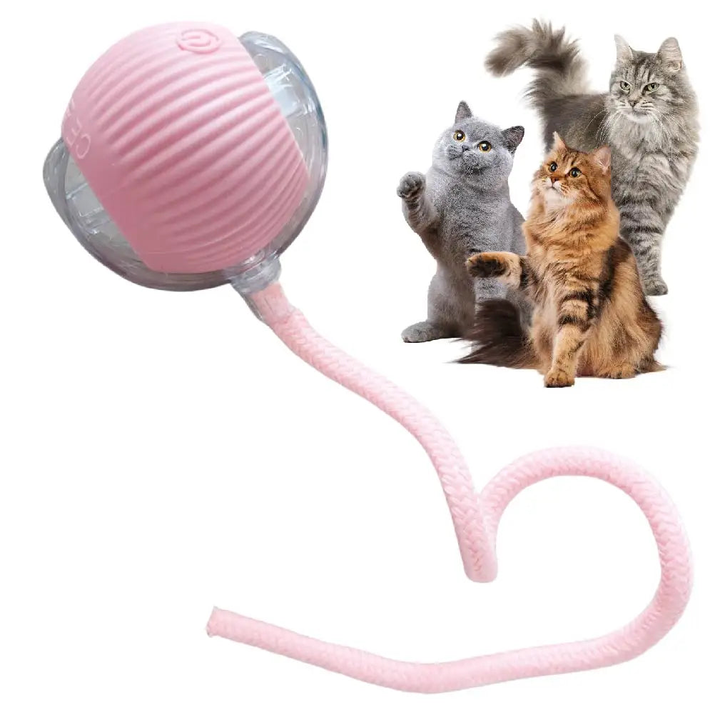 Automatic Rolling Ball with Tail Lamp USB Rechargeable Smart Interactive Cat Ball Toy for Cats Pet Dog Accessories 고양이 장난감