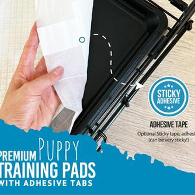 Bulldogology Puppy Pee Pads XL with Adhesive Sticky Tape - Extra Large Dog Training Wee Pads (24X35) 6 Layers with Extra Quick Dry Bullsorbent Polymer Tech (40-Count, White)