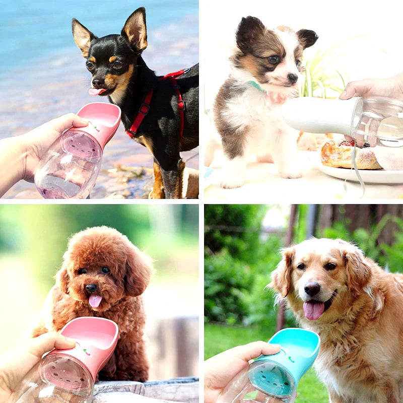 Portable Dog Water Bottle & Bowl