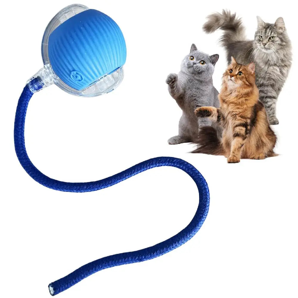 Automatic Rolling Ball with Tail Lamp USB Rechargeable Smart Interactive Cat Ball Toy for Cats Pet Dog Accessories 고양이 장난감
