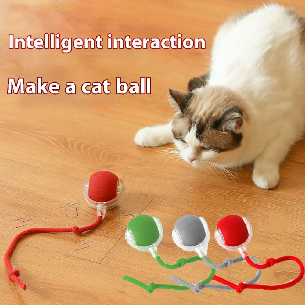 Automatic Rolling Ball with Tail Lamp USB Rechargeable Smart Interactive Cat Ball Toy for Cats Pet Dog Accessories 고양이 장난감