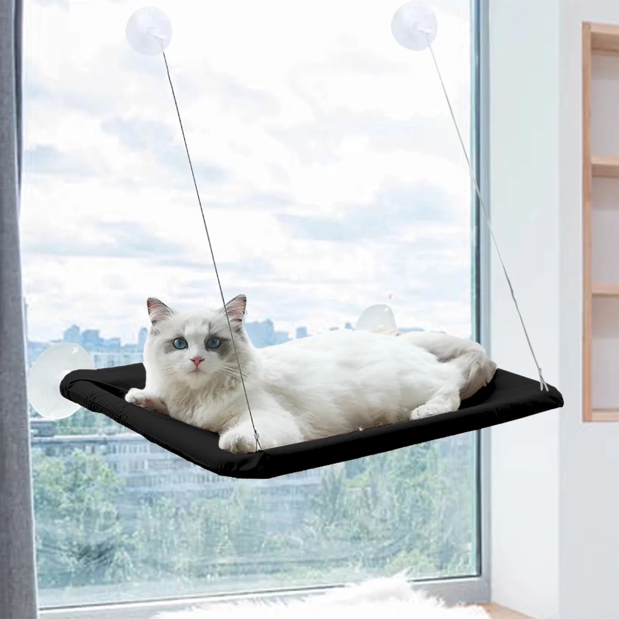 Cat Window Perch — Suction Cup Hammock