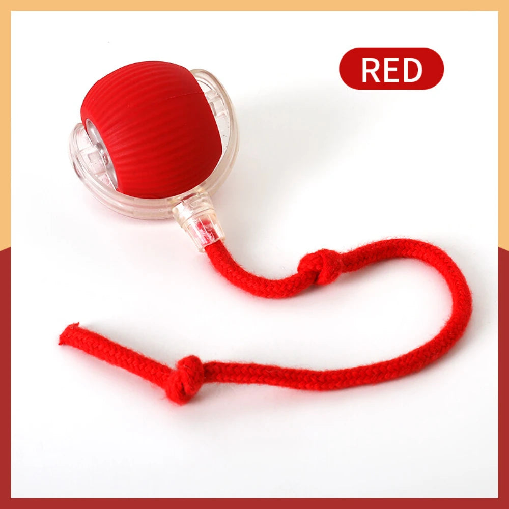 Automatic Rolling Ball with Tail Lamp USB Rechargeable Smart Interactive Cat Ball Toy for Cats Pet Dog Accessories 고양이 장난감