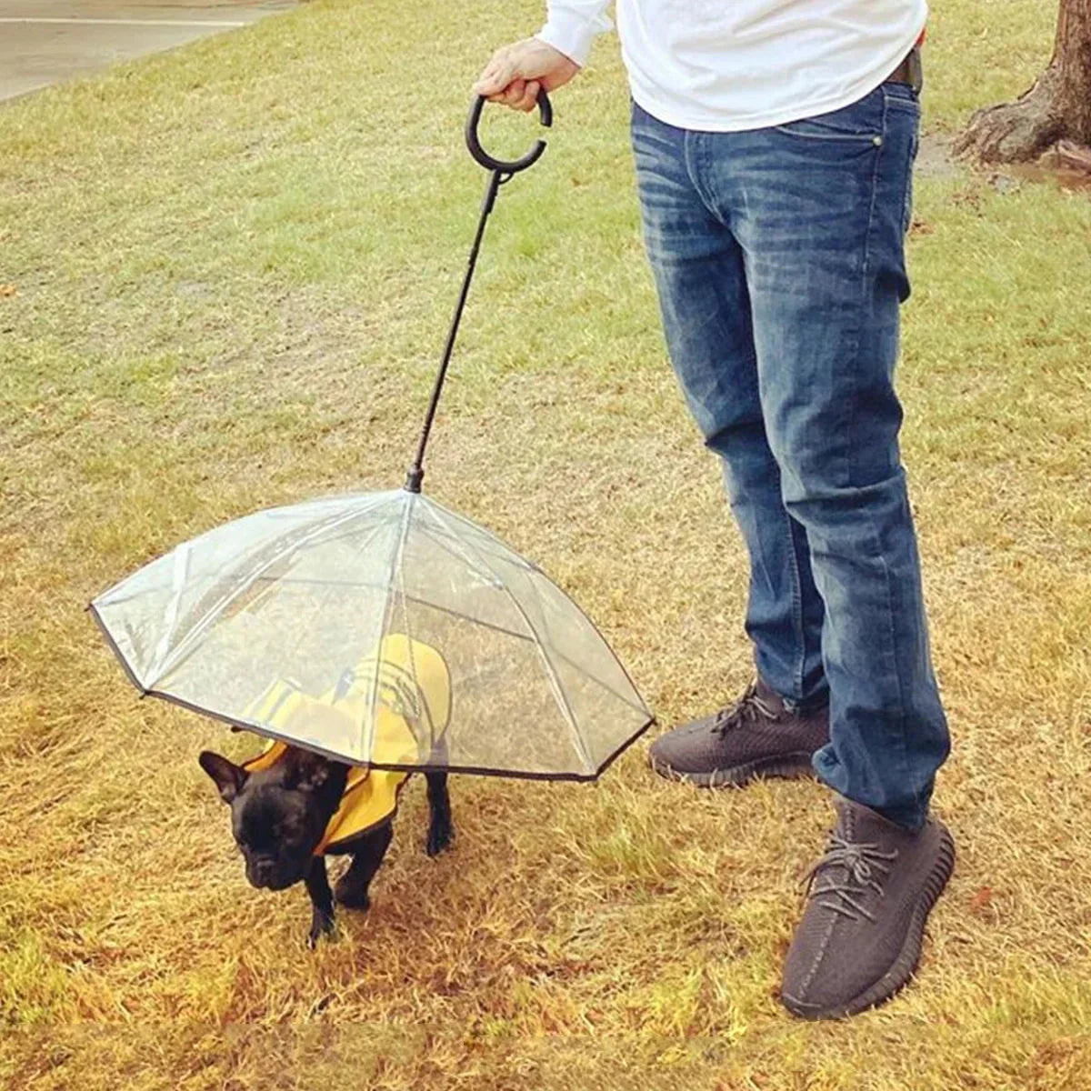 Schicker Hunde-Regenschirm