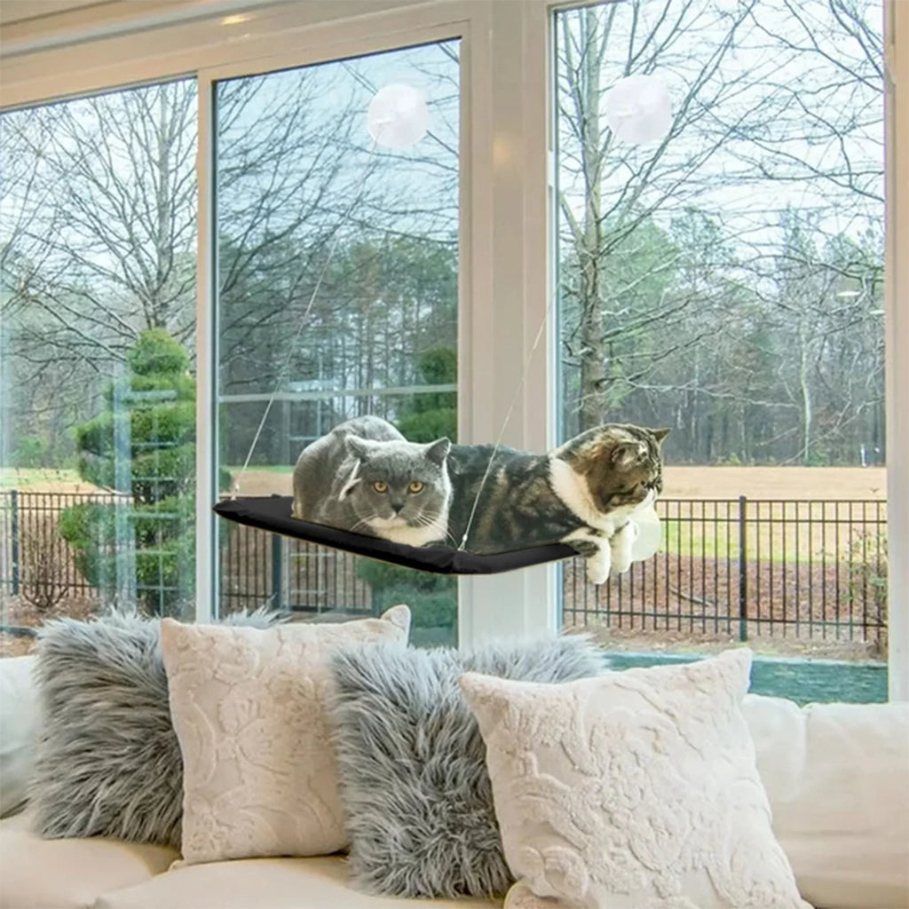 Cat Window Perch — Suction Cup Hammock