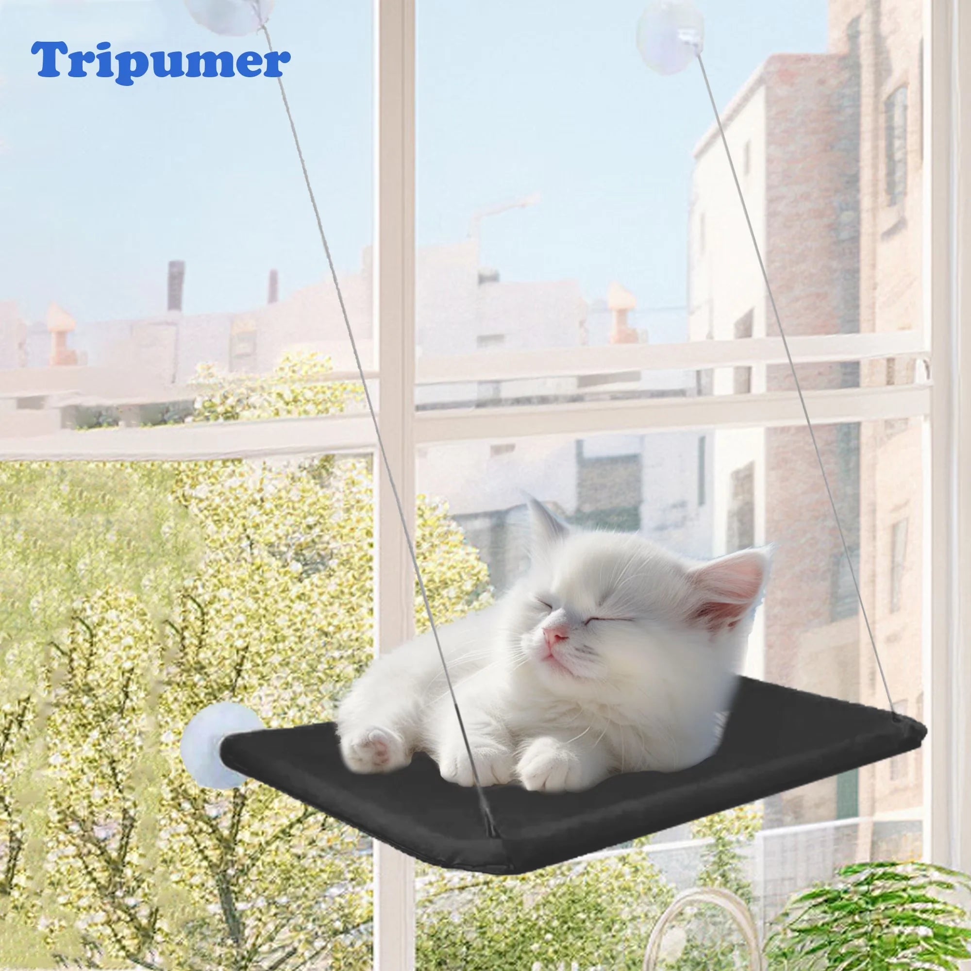 Cat Window Perch — Suction Cup Hammock
